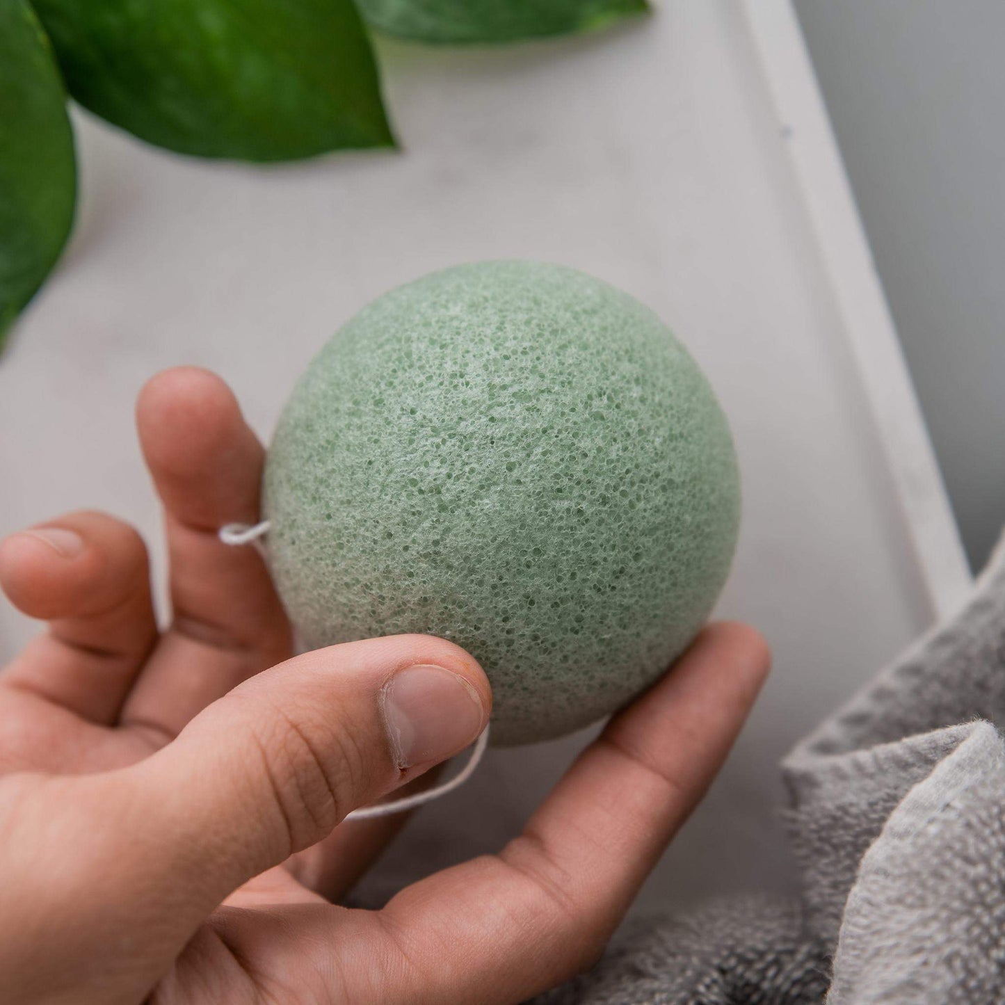 Konjac Sponge (Duo)-2