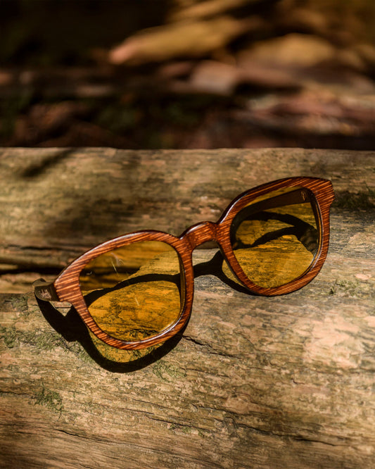 Screen Bee (Rx) | Polarized Bamboo Sunglasses