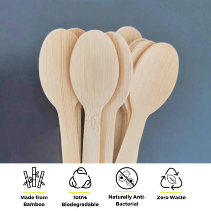 6.7" Bamboo Spoons-2
