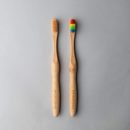 Bamboo Toothbrush (Duo)-1